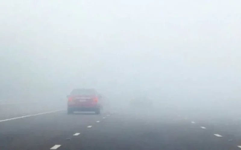 حالة الطقس غدا في مصر: طقس بارد صباحا ودافيء نهارا مع شبورة ورياح